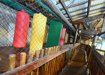 Brinquedão de Madeira